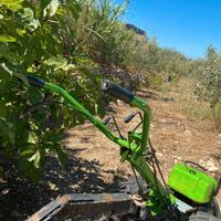 Moto Coltivatore GRILLO