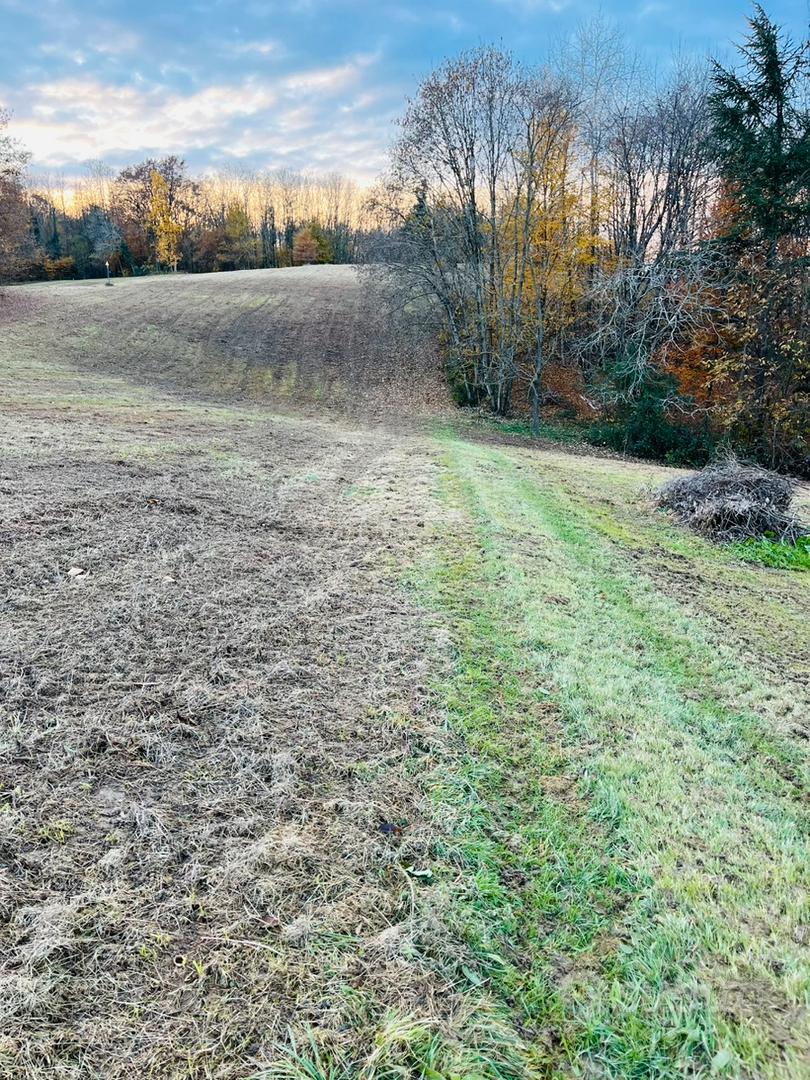 Terreno agricolo - Vista 3