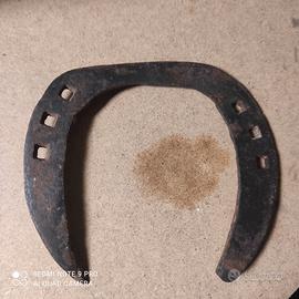 Ferro di cavallo