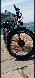 bicicletta elettrica 