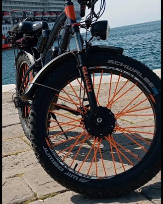 bicicletta elettrica 