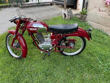 Lavardino 100 cc