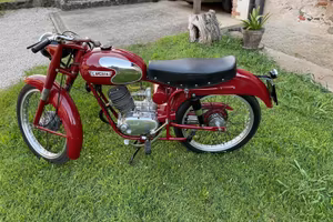 Lavardino 100 cc