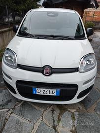 Panda Hybrid 1.0 Firefly 