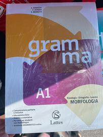 GRAMMA / VOL. A1 CON TEST INGRESSO + A2 + B