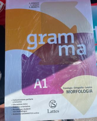 GRAMMA / VOL. A1 CON TEST INGRESSO + A2 + B