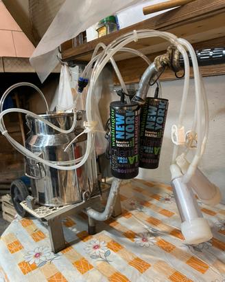 Mungitrice capre e pecore