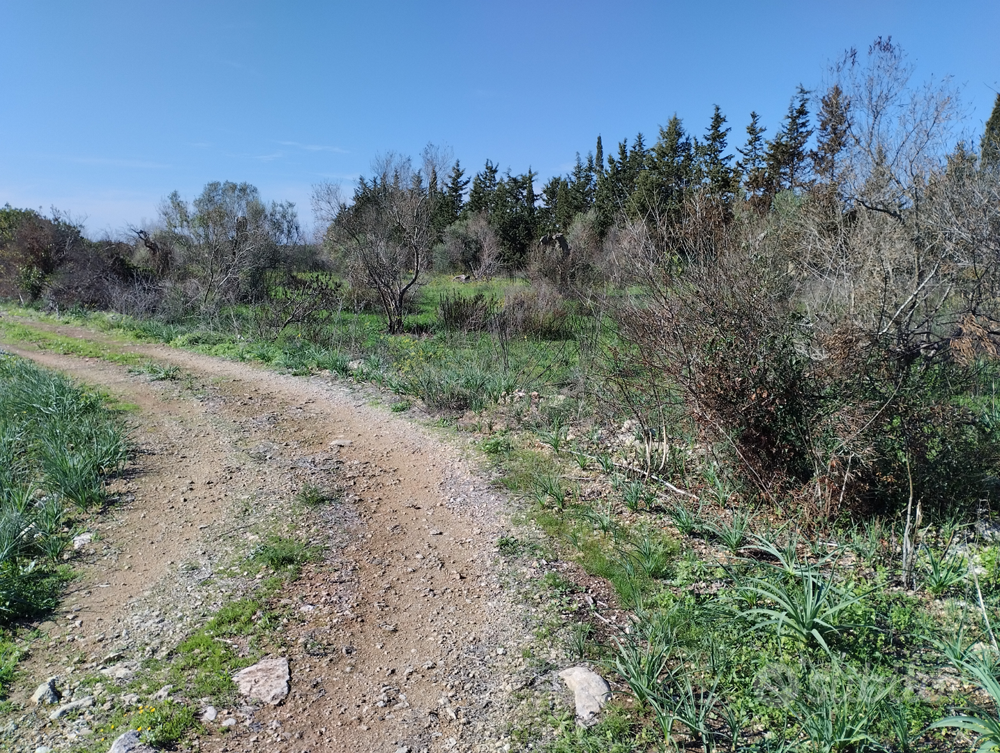 Terreno Gallipoli - Vista 2