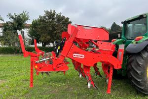 Ripuntatore maschio Attila