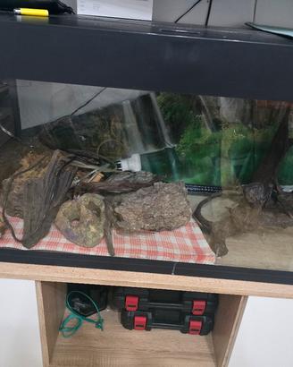 acquario 