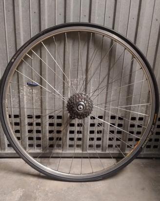 ruote campagnolo chorus 8v