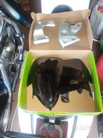 Cupolino Honda Hornet