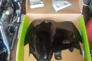 Cupolino Honda Hornet