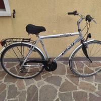 Bicicletta da uomo 