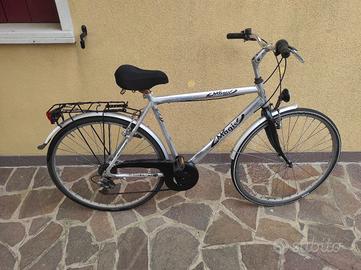 Bicicletta da uomo 