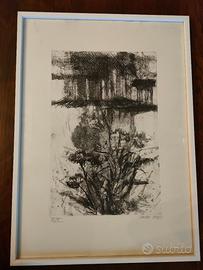 Quadro : Stampa / Incisione originale Mario Abis