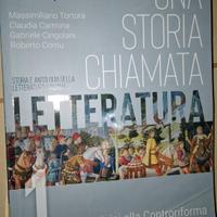 una storia chiamata letteratura