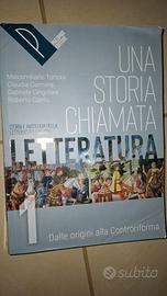 una storia chiamata letteratura
