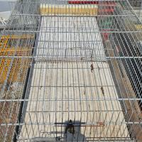 Gabbia uccelli pappagalli canarini  cocorite