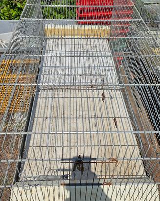 Gabbia uccelli pappagalli canarini  cocorite