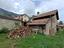 Immagine 7