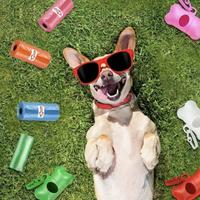 Kit Sacchetti Cani 150+Porta sacchetti+Guinzaglio