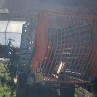 RIMORCHIO AUTOCARICANTE