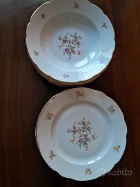 piatti in porcellana