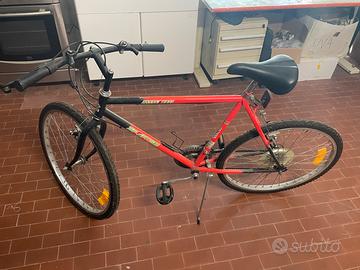 Mountain bike
