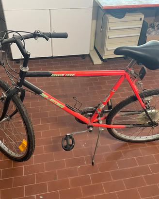 Mountain bike