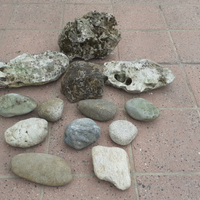 Rocce e sassi