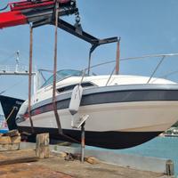 Chaparral 240