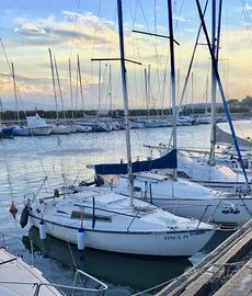 Jidzo 6m cabinato a vela