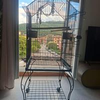 Voliera pappagalli