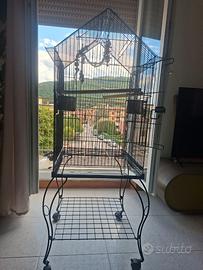 Voliera pappagalli