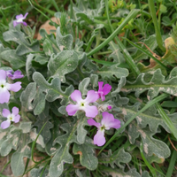 Gestore struttura ricettiva