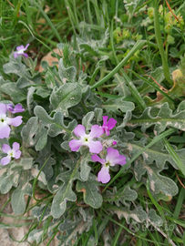 Gestore struttura ricettiva