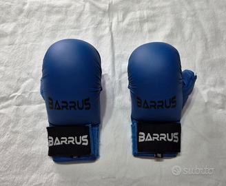 Guantini Karate Arti Marziali BARRUS