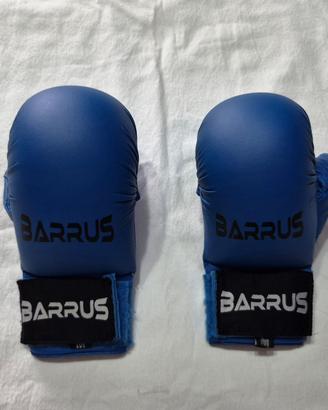 Guantini Karate Arti Marziali BARRUS