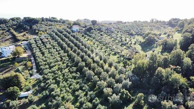 TER. AGRICOLO A FIANO ROMANO