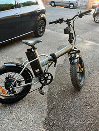 Bicicletta elettrica
