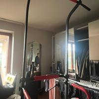 power tower o stazione per trazioni e dip