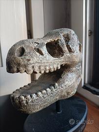 Testa di Dinosauro (Riproduzione)