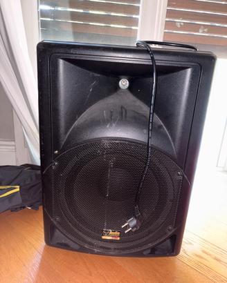 Cassa amplificata audio design