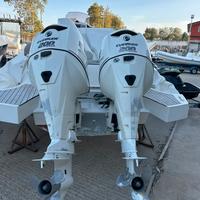 Coppia motori fuoribordo Evinrude