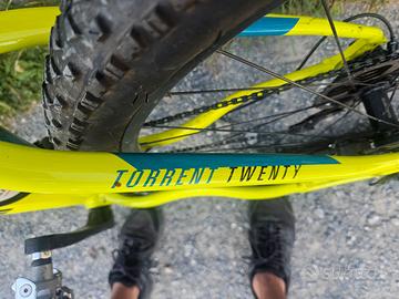Bicicletta Mountain Bike Rock Machine