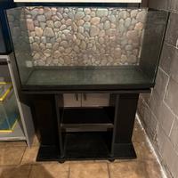 Acquario marino e per dolce