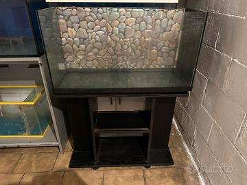 Acquario marino e per dolce