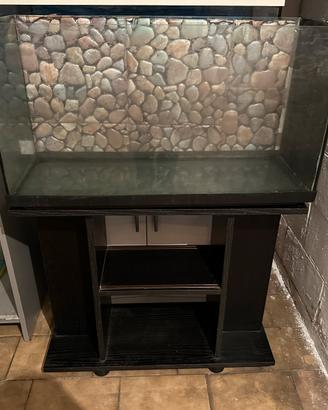 Acquario marino e per dolce