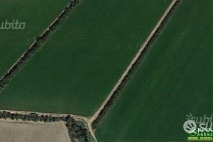 ORISTANO - RISAIA TERRENO 9,1 ETTARI accorpati